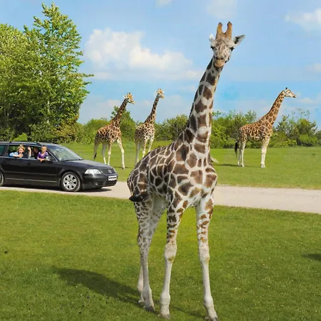 Lejlighed Lille Margrethe *