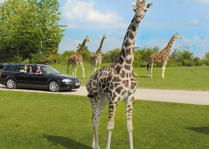 Apartman Lille Margrethe *